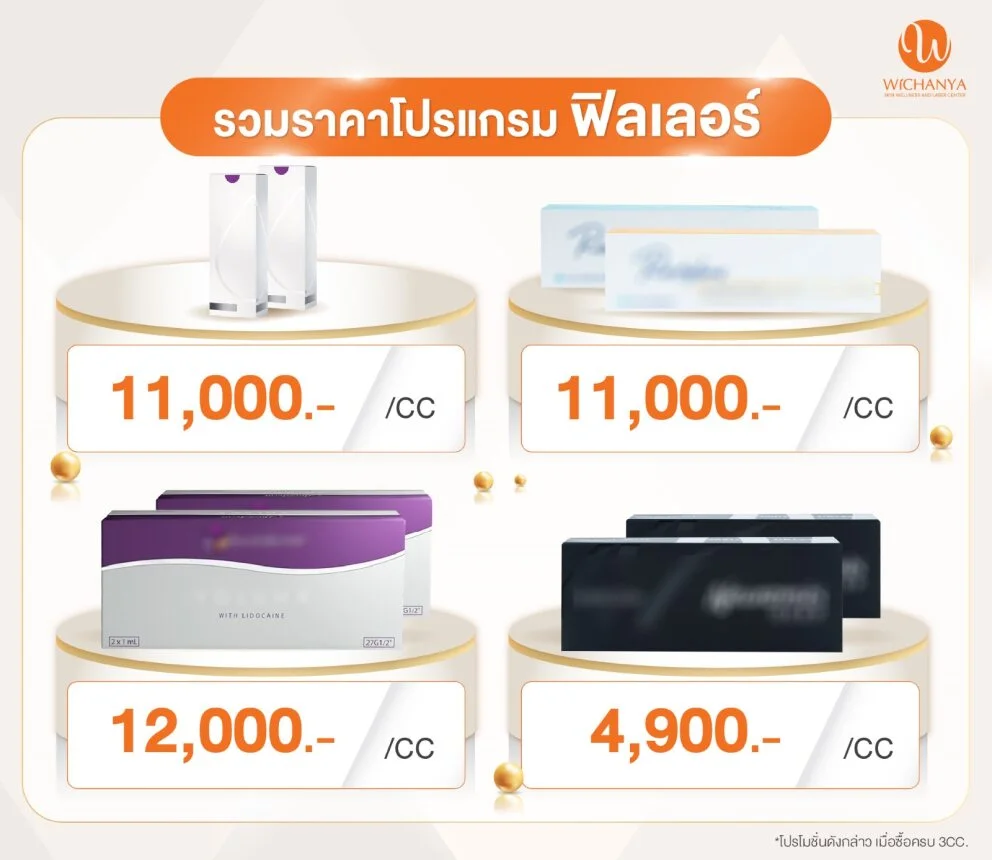 ราคาโปรโมชั่นโปรแกรมฟิลเลอร์